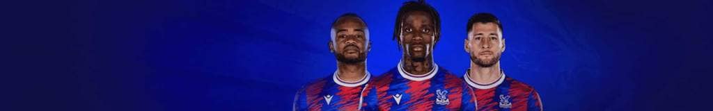 electronic sudoku game
